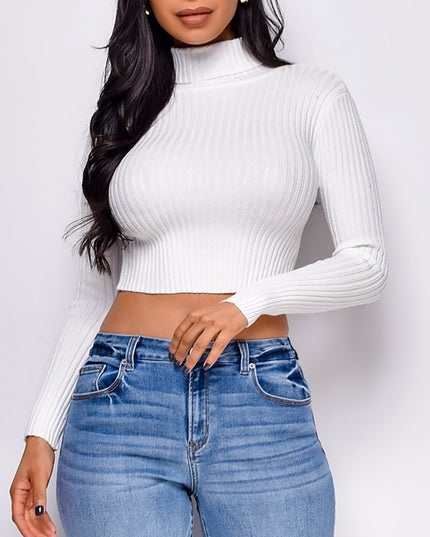 Off White Basic Turtle Neck Crop Ribbed Sweater Top