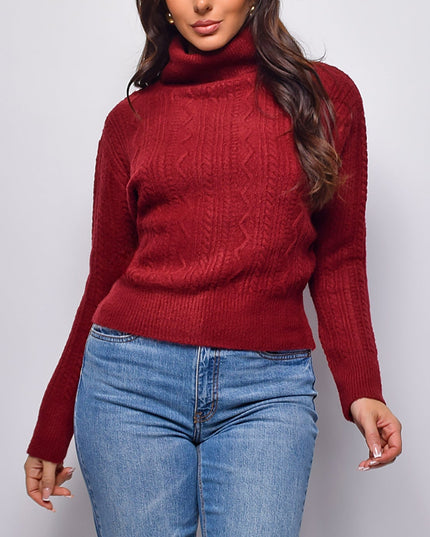 Burgundy Cable Knit Turtle Neck Sweater Top